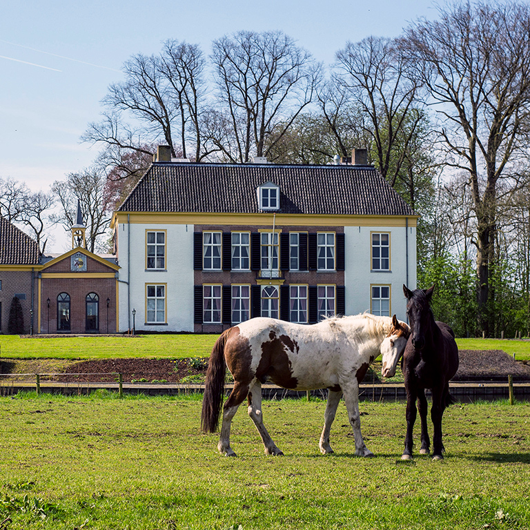 Two horses in a green field in the spring with a beautiful estate manor on the background